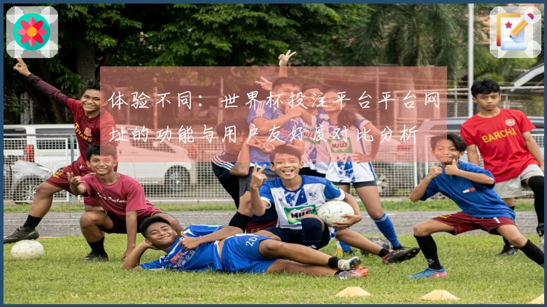 体验不同：世界杯投注平台平台网址的功能与用户友好度对比分析