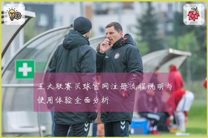 五大联赛买球官网注册流程说明与使用体验全面分析