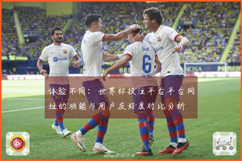 体验不同：世界杯投注平台平台网址的功能与用户友好度对比分析