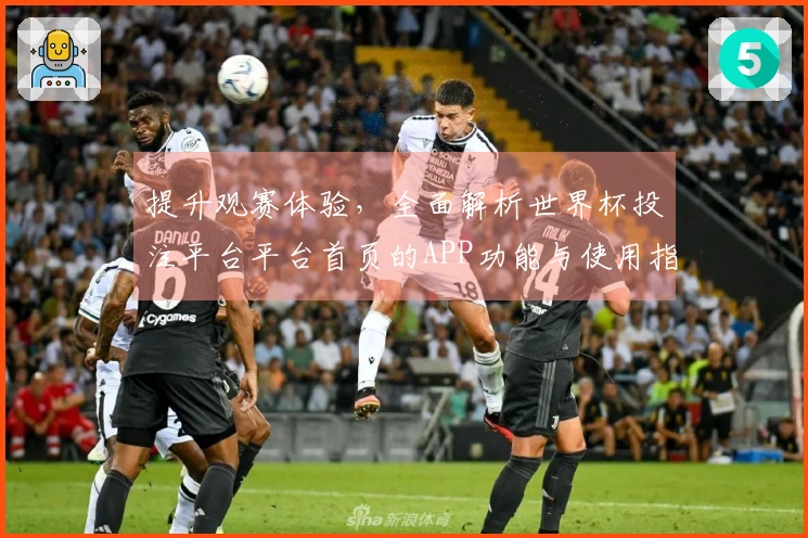 提升观赛体验，全面解析世界杯投注平台平台首页的APP功能与使用指南