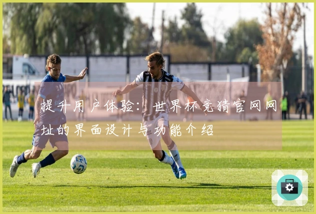 提升用户体验：世界杯竞猜官网网址的界面设计与功能介绍