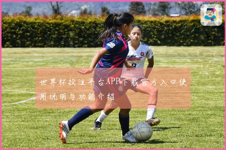 世界杯投注平台APP下载官方入口使用说明与功能介绍
