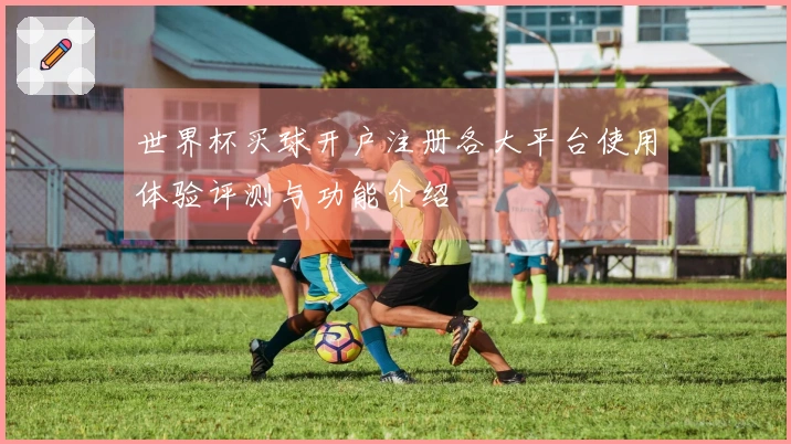世界杯买球开户注册各大平台使用体验评测与功能介绍