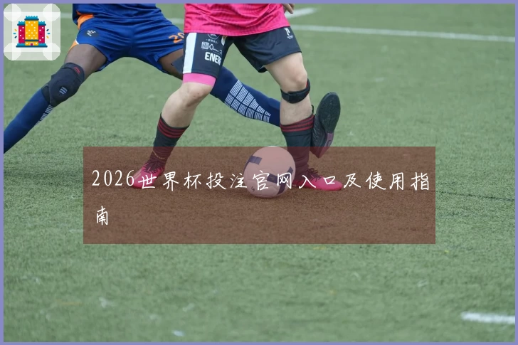 2026世界杯投注官网入口及使用指南