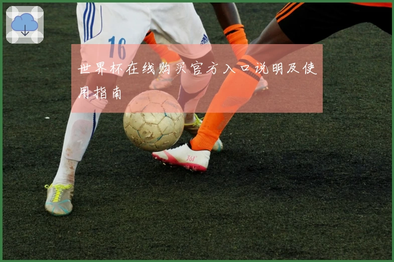 世界杯在线购买官方入口说明及使用指南