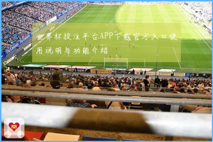 世界杯投注平台APP下载官方入口使用说明与功能介绍