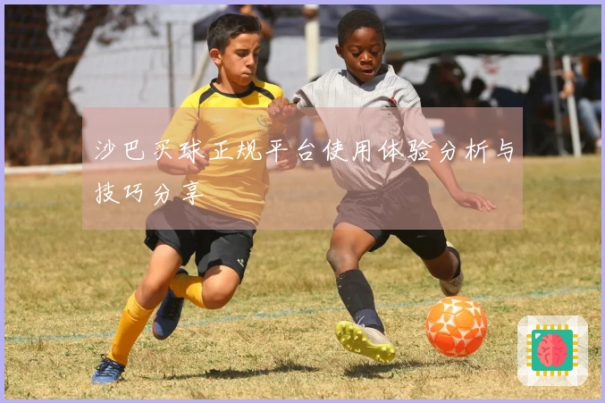 沙巴买球正规平台使用体验分析与技巧分享