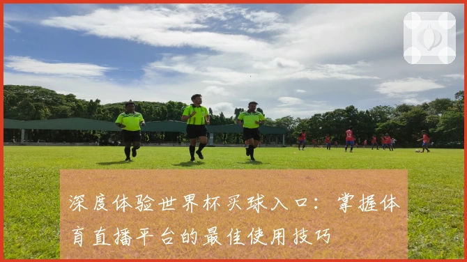 深度体验世界杯买球入口：掌握体育直播平台的最佳使用技巧