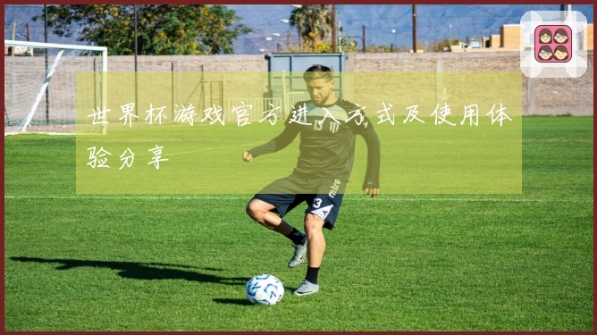 世界杯游戏官方进入方式及使用体验分享