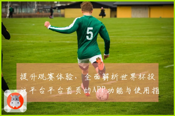 提升观赛体验，全面解析世界杯投注平台平台首页的APP功能与使用指南